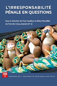 Télécharger le livre : L'irresponsabilité pénale en questions