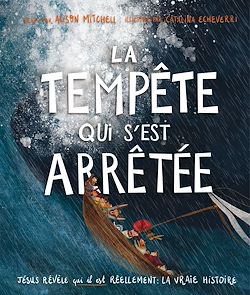 Télécharger le livre :  La tempête qui s'est arrêtée