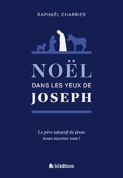 Télécharger le livre :  Noël dans les yeux de Joseph