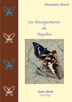 Télécharger le livre :  Les Enseignements du Papillon