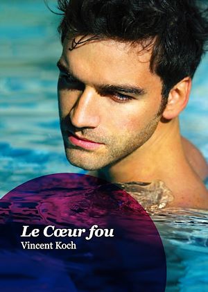 Téléchargez le livre :  Le Cœur fou (roman gay)