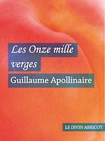 Télécharger le livre :  Les Onze mille verges