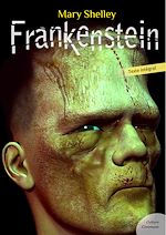 Download this eBook Frankenstein