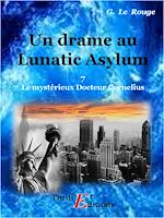 Télécharger le livre :  Un drame au Lunatic-Asylum  - Livre 7