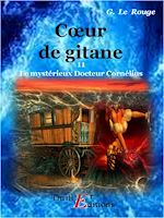 Télécharger le livre :  Cœur de gitane - Livre 11