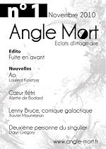 Télécharger le livre :  Angle Mort numéro 1