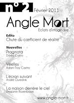 Télécharger le livre :  Angle Mort numéro 2