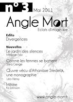 Télécharger le livre :  Angle Mort numéro 3