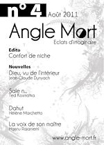Télécharger le livre :  Angle Mort numéro 4