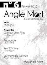 Télécharger le livre :  Angle Mort numéro 6