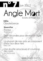 Télécharger le livre :  Angle Mort numéro 7