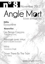 Télécharger le livre :  Angle Mort numéro 8