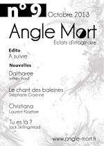 Télécharger le livre :  Angle Mort numéro 9