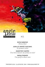 Télécharger le livre :  Angle Mort numéro 11