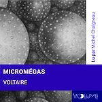 Download this eBook Micromégas