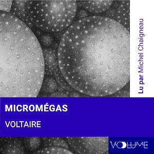 Téléchargez le livre :  Micromégas