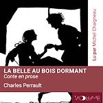 Download this eBook La belle au bois dormant