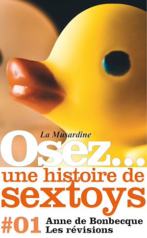 Download the eBook: Osez une histoire de sextoys : Les révisions
