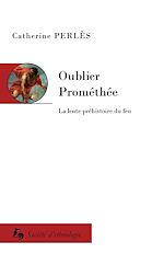 Télécharger le livre :  Oublier Prométhée