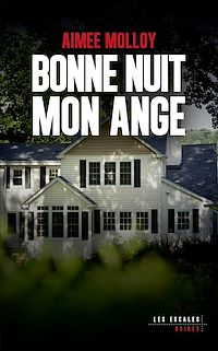 Téléchargez le livre :  Bonne nuit mon ange