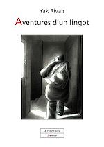 Download this eBook Aventures d'un lingot