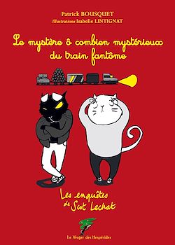 Télécharger le livre :  Le mystère ô combien mystérieux du train fantôme