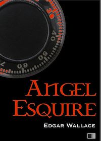 Télécharger le livre : Angel Esquire