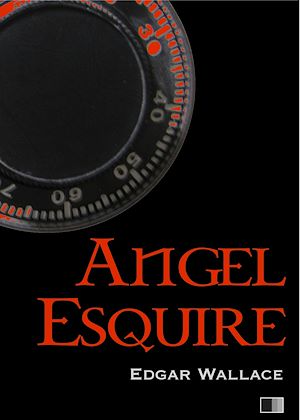 Téléchargez le livre :  Angel Esquire
