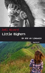 Télécharger le livre :  Little Bighorn