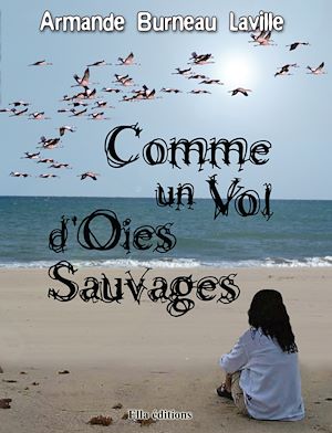 Téléchargez le livre :  Comme un vol d'oies sauvages