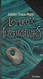 Download this eBook Les Lieux intermédiaires