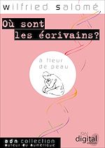 Télécharger le livre :  Où sont les écrivains ?