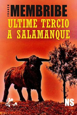 Télécharger le livre :  Ultime Tercio à Salamanque