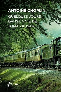 Téléchargez le livre :  Quelques jours dans la vie de Tomas Kusar