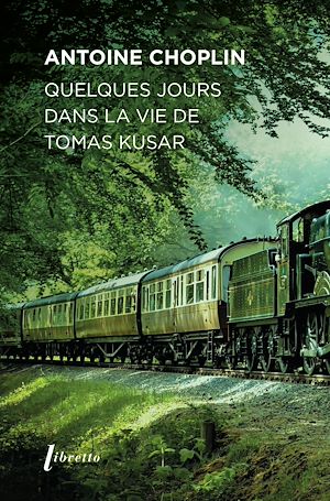 Téléchargez le livre :  Quelques jours dans la vie de Tomas Kusar