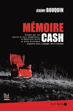Télécharger le livre :  Mémoire Cash