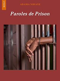 Télécharger le livre :  Paroles de prison