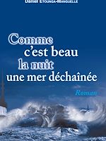 Télécharger le livre :  Comme c'est beau la nuit une mer déchaînée