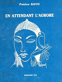 Télécharger le livre :  En attendant l'aurore