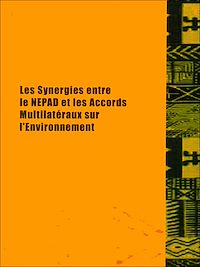 Télécharger le livre :  Les synergies entre le NEPAD et les accords multilatéraux sur l'environnement
