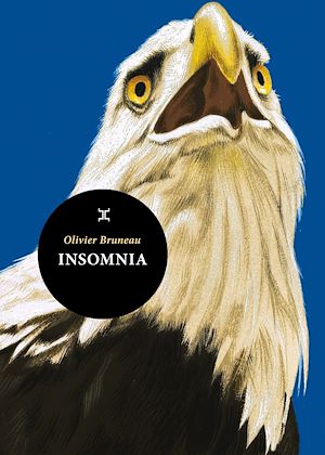Téléchargez le livre :  Insomnia