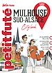 Télécharger le livre :  Guide Mulhouse 2025 Petit Futé: Sud-Alsace