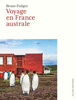 Téléchargez le livre :  Voyage en France australe
