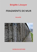 Télécharger le livre :  Fragments de mur