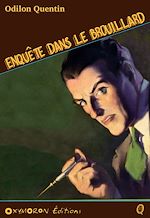 Télécharger le livre :  Enquête dans le brouillard