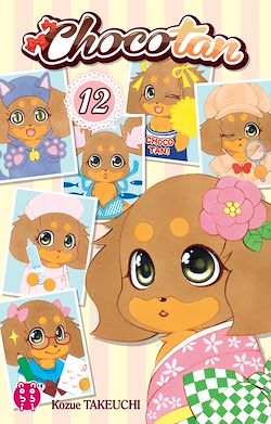 Télécharger le livre :  Chocotan T12