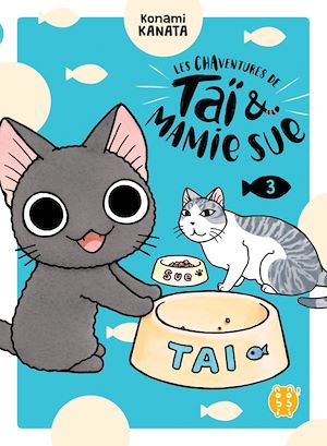 Téléchargez le livre :  Les Chaventures de Taï et Mamie Sue T03