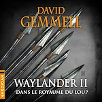 Télécharger le livre :  Waylander II - Dans le royaume du loup