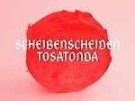 Télécharger le livre :  Scheibenscheiden-Tosatonda