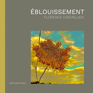 Téléchargez le livre :  Éblouissement
